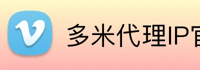多米代理IP官网 - 代理服务平台入口